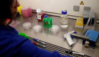  Descubren las estrategias de las células cancerígenas para evitar ser derrotadas 