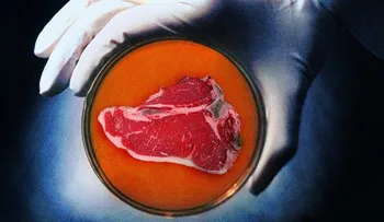 Muy pronto comeremos carne sin matar animales