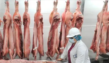 De último minuto, te están vendiendo carne humana como si fuera vaca! 