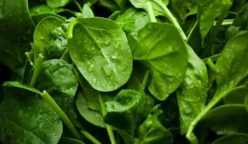 10 alimentos que te dan energía sin subirte de peso