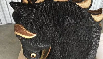 Una cabeza de caballo cubierta de diamantes ocultaba 10 millones de dólares en cocaína