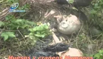 Encuentran cráneos y huesos humanos en Bonao