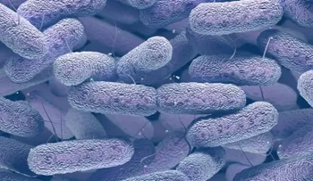 "Klebsiella", una superbacteria que se contagia en centros médicos; afecta el pulmón, intestino y vías urinarias