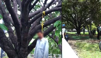 Hallan hombre colgado en árbol frente a su casa