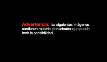 Suspenden a futbolistas venezolanos por alegadamente maltratar a un gato