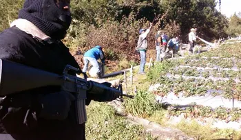 Inician desmonte de tuberías en Valle Nuevo