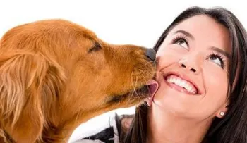 ¿Debemos dejar que las mascotas "besen nuestra cara?