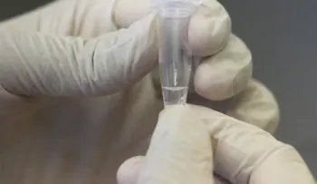 El suero equino, la nueva esperanza Argentina contra el coronavirus