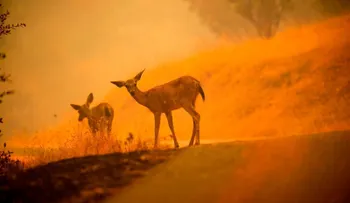 El incendio de California ya es el mayor en toda su historia