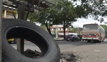 Detectan primer caso de chikungunya en Paraguay, importado de República Dominicana