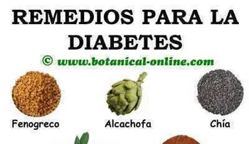 Plantas medicinales para curar la diabetes (Video)