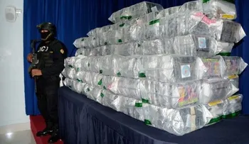 Decomisan 600 kilos de cocaína 