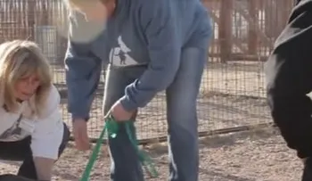 A este preso le confiaron entrenar un perro. Su despedida resultó muy emotiva?(VIDEO)