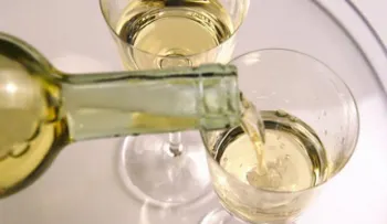 Cómo preparar sangría de naranja con vino blanco 