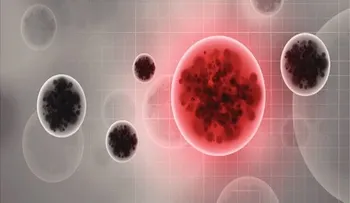 El ébola permanece en el semen incluso tras superar la enfermedad