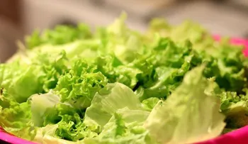  EE.UU. da a conocer la primera muerte por brote de "E. coli" en lechugas 