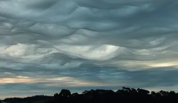 ¡Mira hacia el cielo! Podrías ver un nuevo tipo de nube