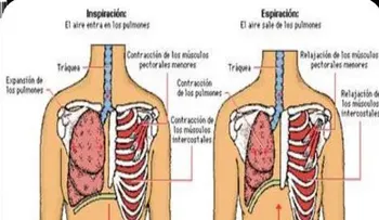 Las mujeres que limpian tienen mayores riesgos de sufrir problemas pulmonares 
