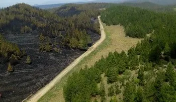 Grupo se opone a aserradero en zona afectada por fuego en Constanza