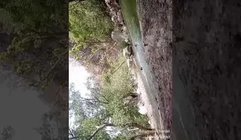 Filman su propia muerte en un estanque en la India