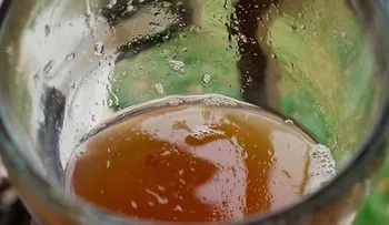 La sidra: Una bebida que reduce el colesterol y triglicéridos, previene infartos y el cáncer de colon; elimina el ácido úrico