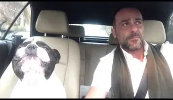 Perro enternece al cantar a dúo con su dueño (VIDEO)
