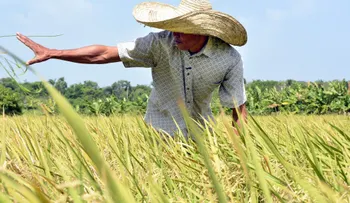 Presidente Danilo Medina felicita a agricultores en su día