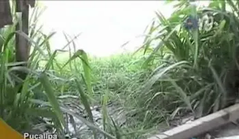 Condenan a dos padres por violar a hijas menores