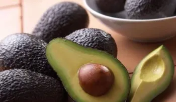 Las comidas con aguacate reducen aún más el riesgo de diabetes y enfermedades del corazón 