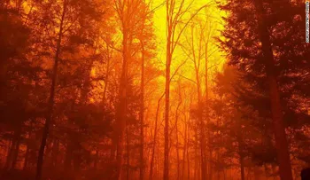 Fotos: el antes y después de los incendios en Gatlinburg