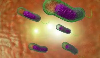 Jugo desintoxicante para liberar el intestino de toxinas