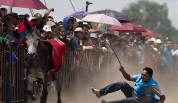 Un pueblo mexicano celebra festival del burro