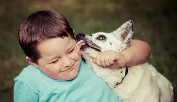 Te has preguntado: ¿Por qué tu perro te lame?