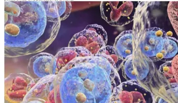 Ibrutinib, tratamiento para la leucemia linfocítica crónica y el linfoma linfocítico de células pequeñas