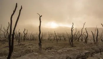 "Nadie se esperaba este salto": La NASA advierte de un récord "alarmante"