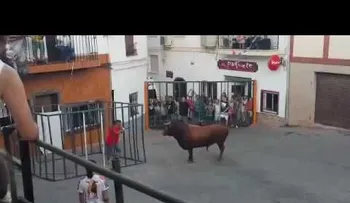 Lo provoca y recibe un brutal ataque (VIDEO)