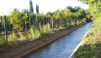 Niño de 5 años se ahoga cuando se bañaba en rigola de Baní