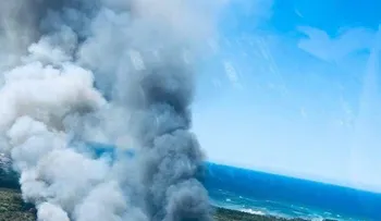 Personal del Ejército intenta sofocar fuego forestal en Punta Cana