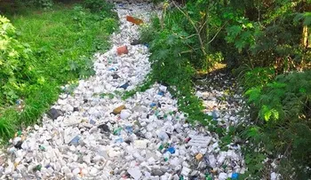 Cañadas de casco urbano arropadas por la basura