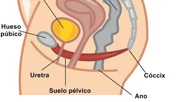 Para qué sirven los ejercicios de Kegel