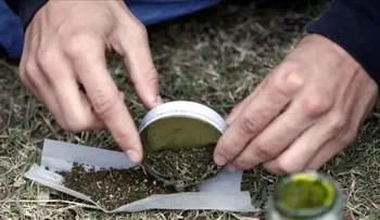 Uruguay autoriza el uso de marihuana para la investigación y la medicina
