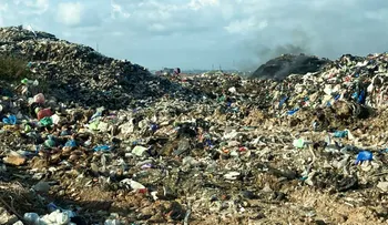 La basura que botamos, el empleo que necesitamos