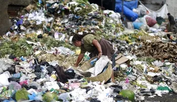 ¿Tirar los alimentos a la basura es más peligroso de lo que se pensaba?