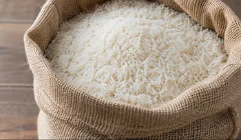 Abinader deroga decreto que fijaba arancel especial al arroz importado desde EEUU