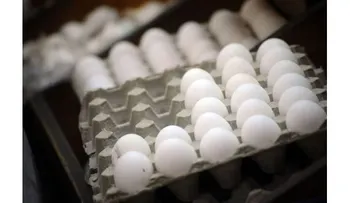 Retirará Bachoco productos en EU por posible contaminación con metal
