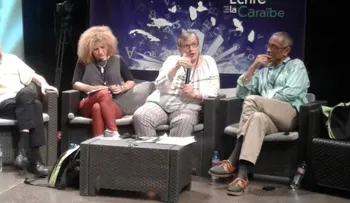 Rita Indiana Hernández gana el Gran Premio de Literatura en Guadalupe