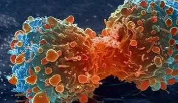 La cura contra el cáncer sale a la luz: Descubre el secreto 