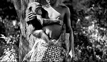 Los escalofriantes zoológicos de humanos