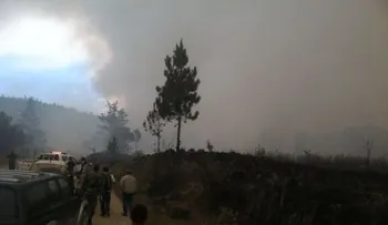 Medio Ambiente asegura fue totalmente controlado fuego en Valle Nuevo