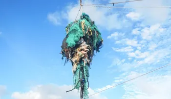La gran mancha de basura del Pacífico es ahora tres veces más grande que Francia
